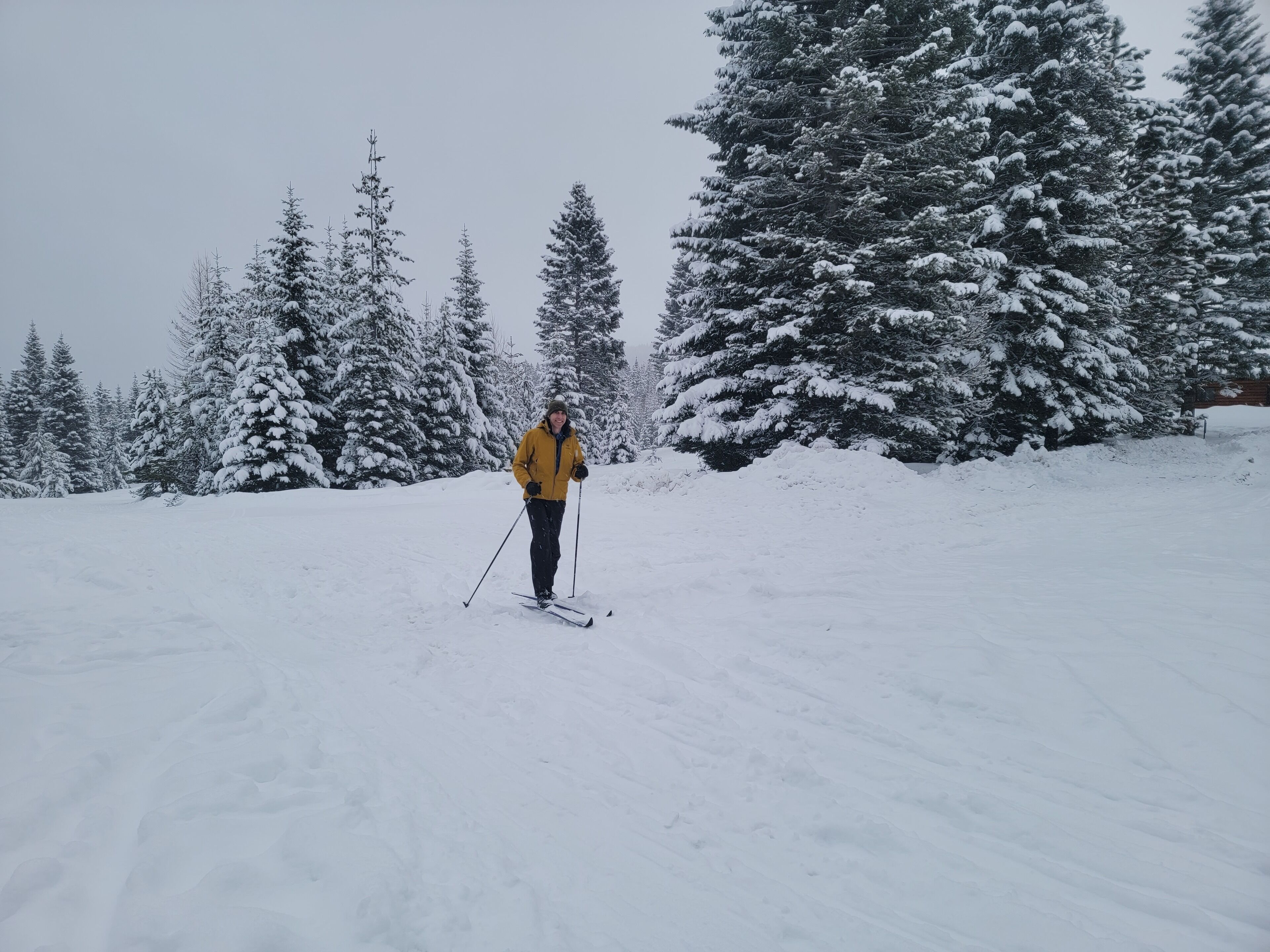 A person skiing on a snow-covered slope with trees in the background.