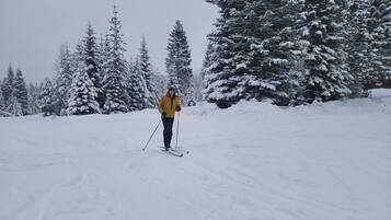 A person skiing on a snow-covered slope with trees in the background.
