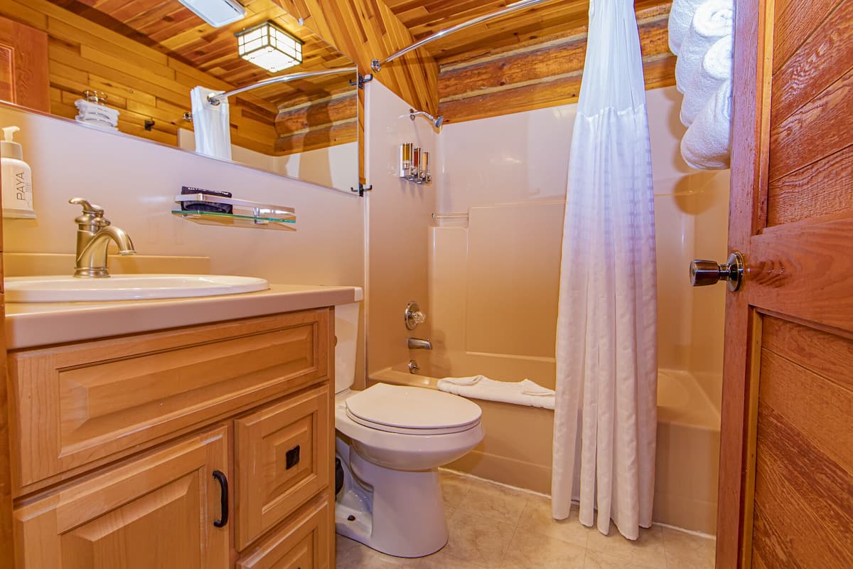 combined shower/bathtub, eco-friendly toiletries, hair dryer, towels