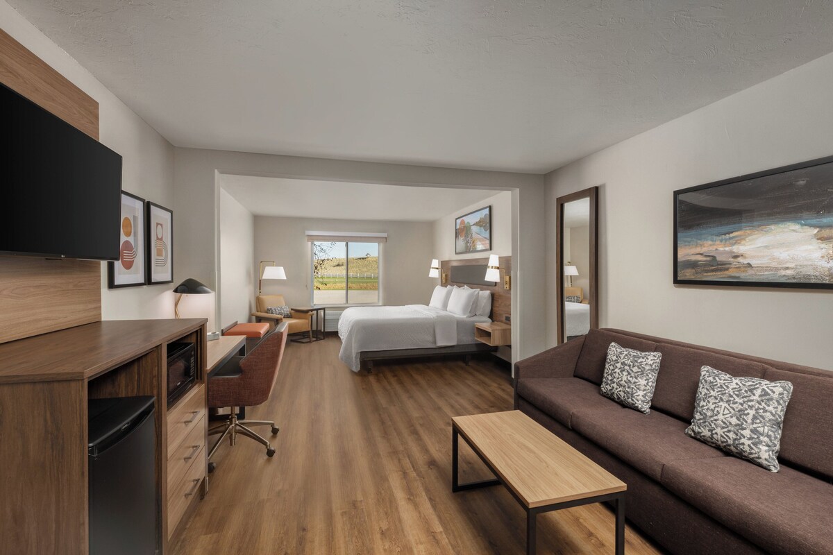 Una habitación de hotel con una cama, un sofá, un escritorio y un televisor.