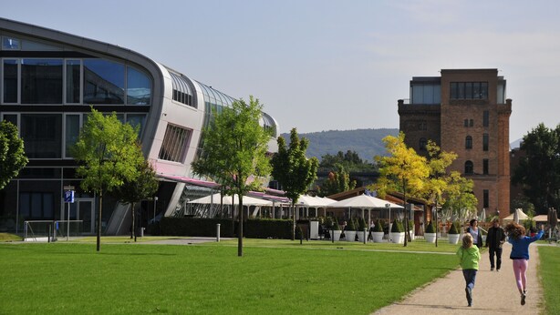 A modern building with large windows and a curved facade, surrounded by a green lawn and trees. - Kameha Grand Bonn (Bonn)
