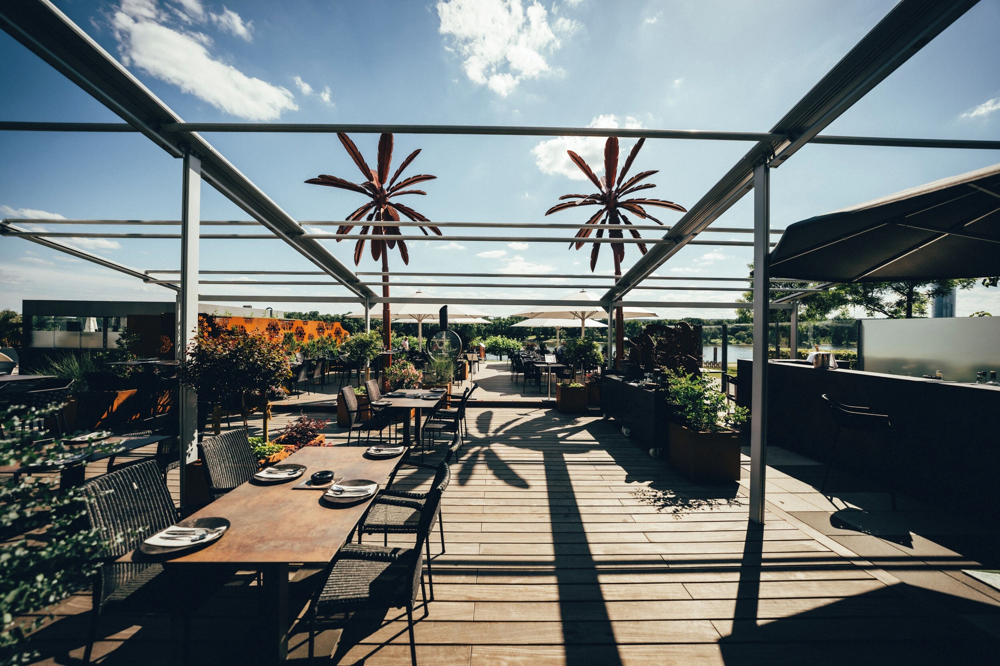 An outdoor patio area with tables and chairs, surrounded by potted plants and umbrellas.