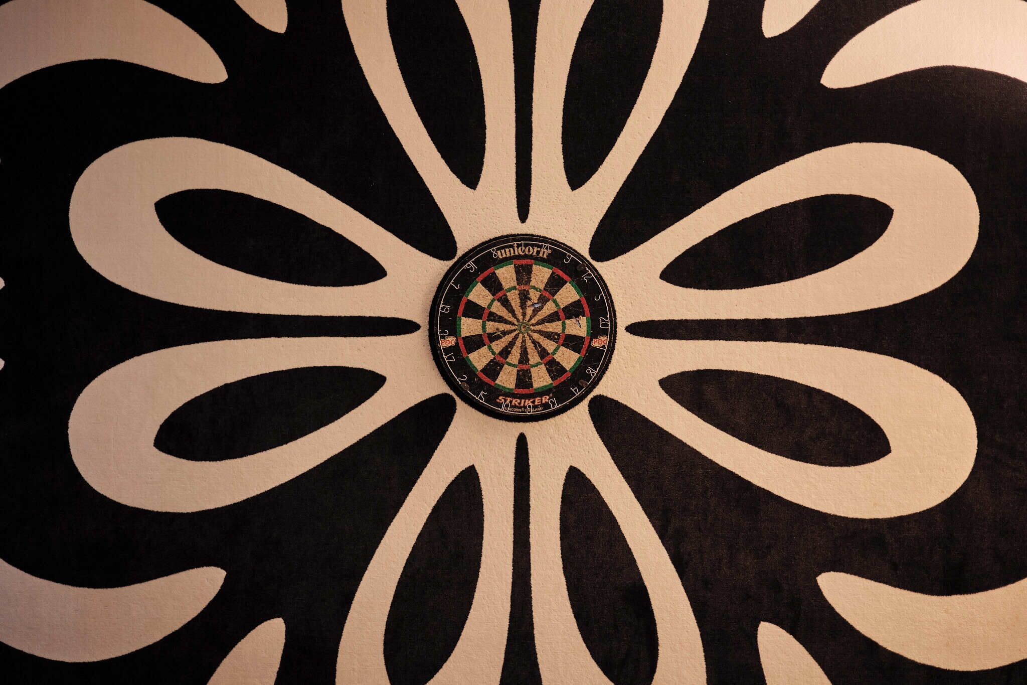 A dartboard with a circular bullseye and numbered rings.