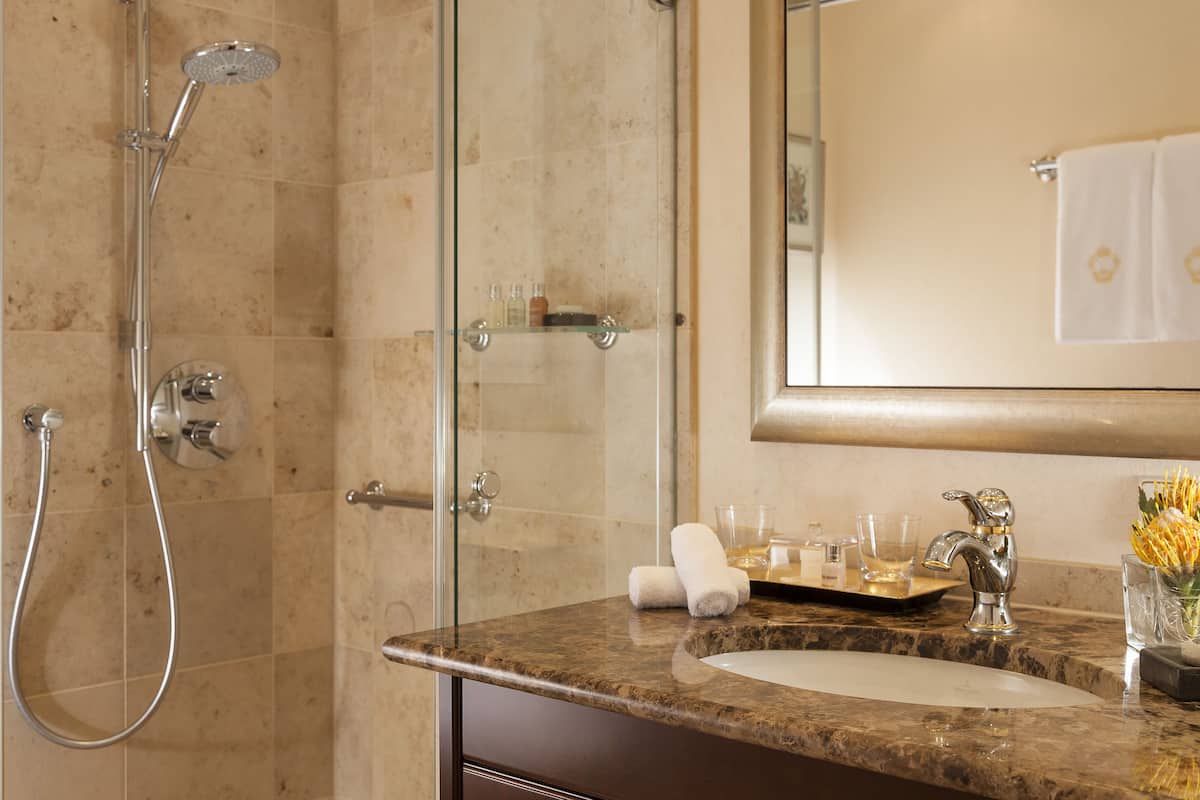 shower, rainfall showerhead, free toiletries, hair dryer