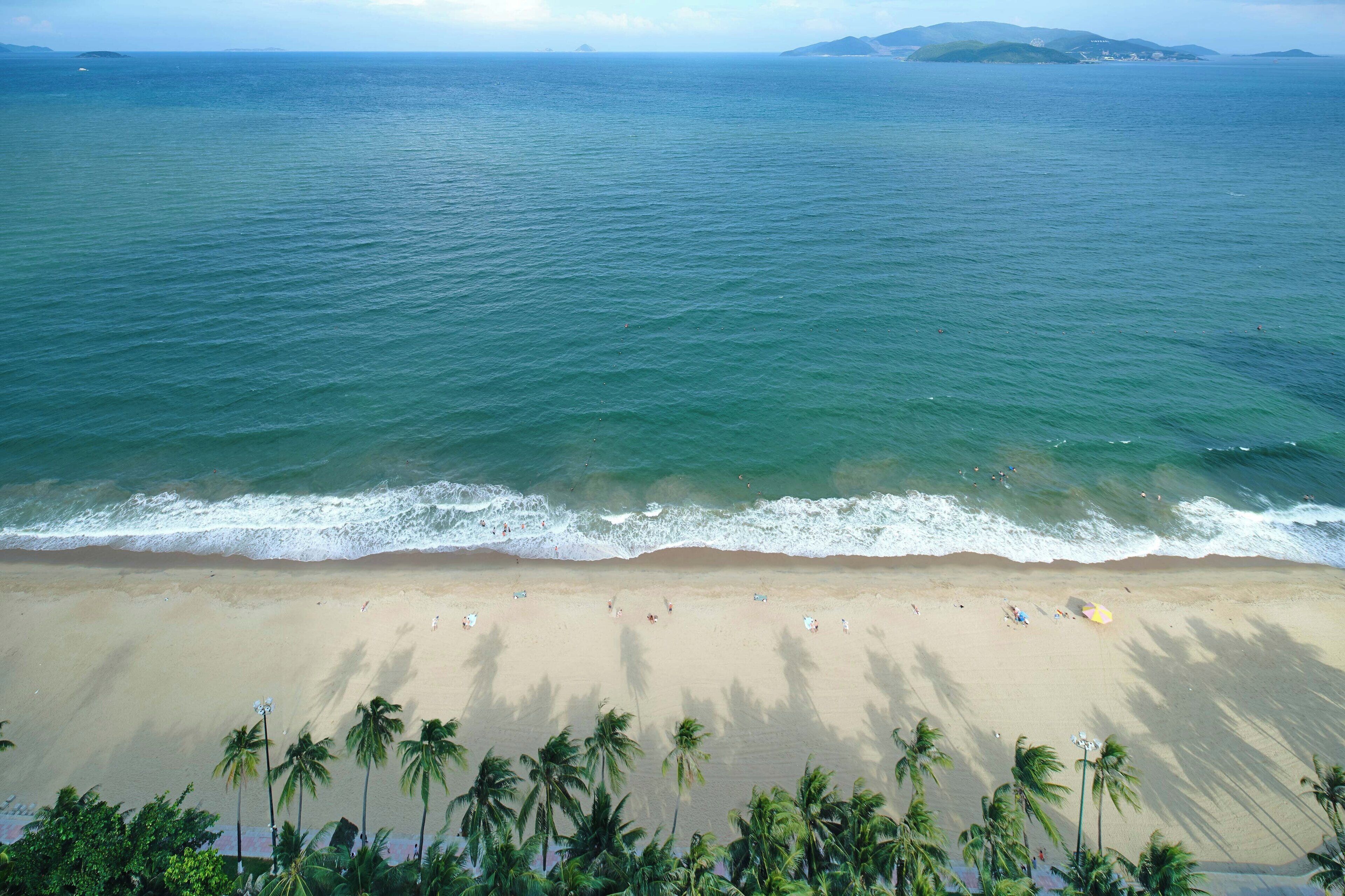 A beach with clear waters, palm trees, and a sandy shore.