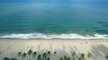 A beach with clear waters, palm trees, and a sandy shore.