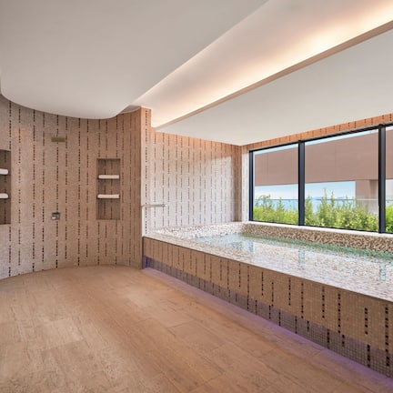 Outdoor pool, sun loungers