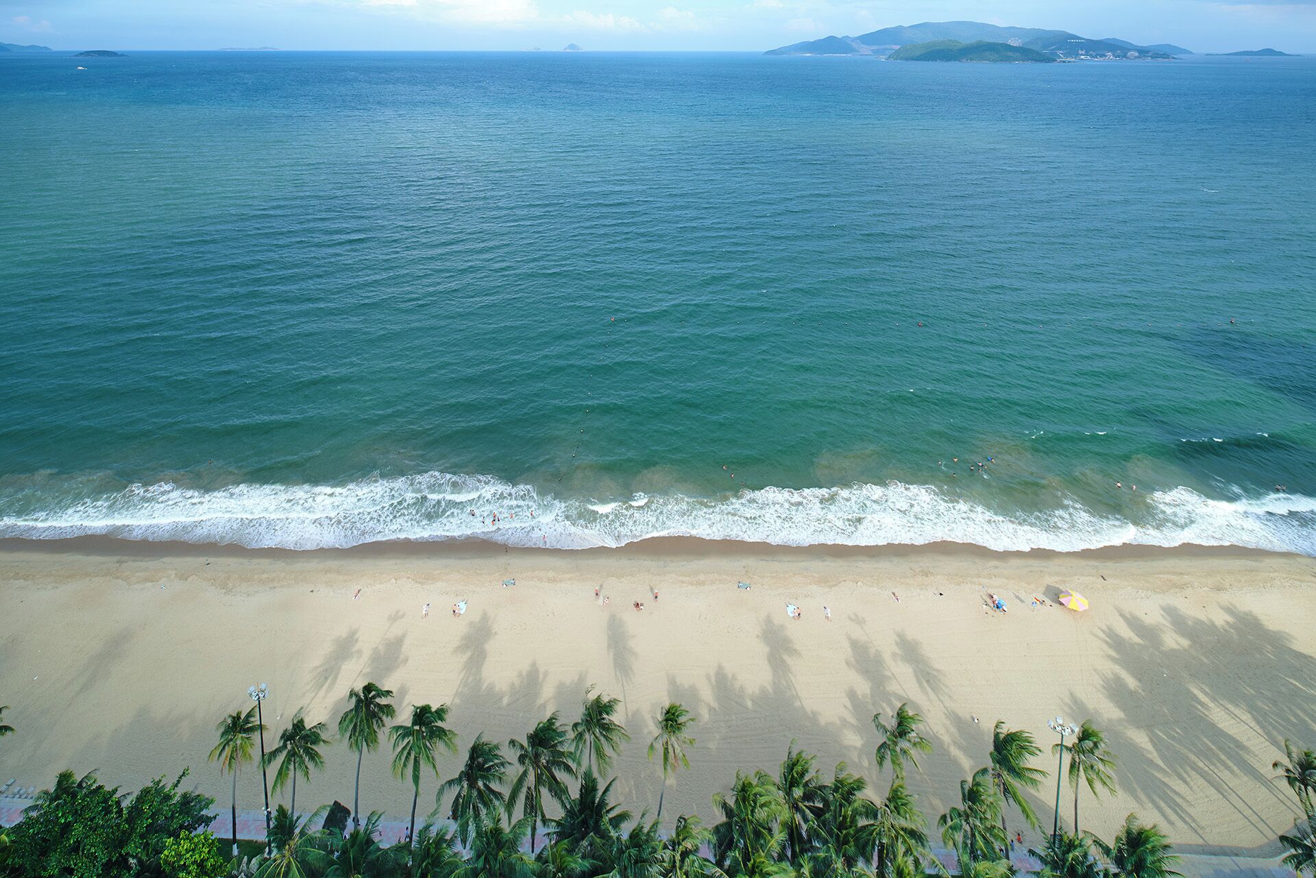 A beach with palm trees, a sandy shore, and the ocean.