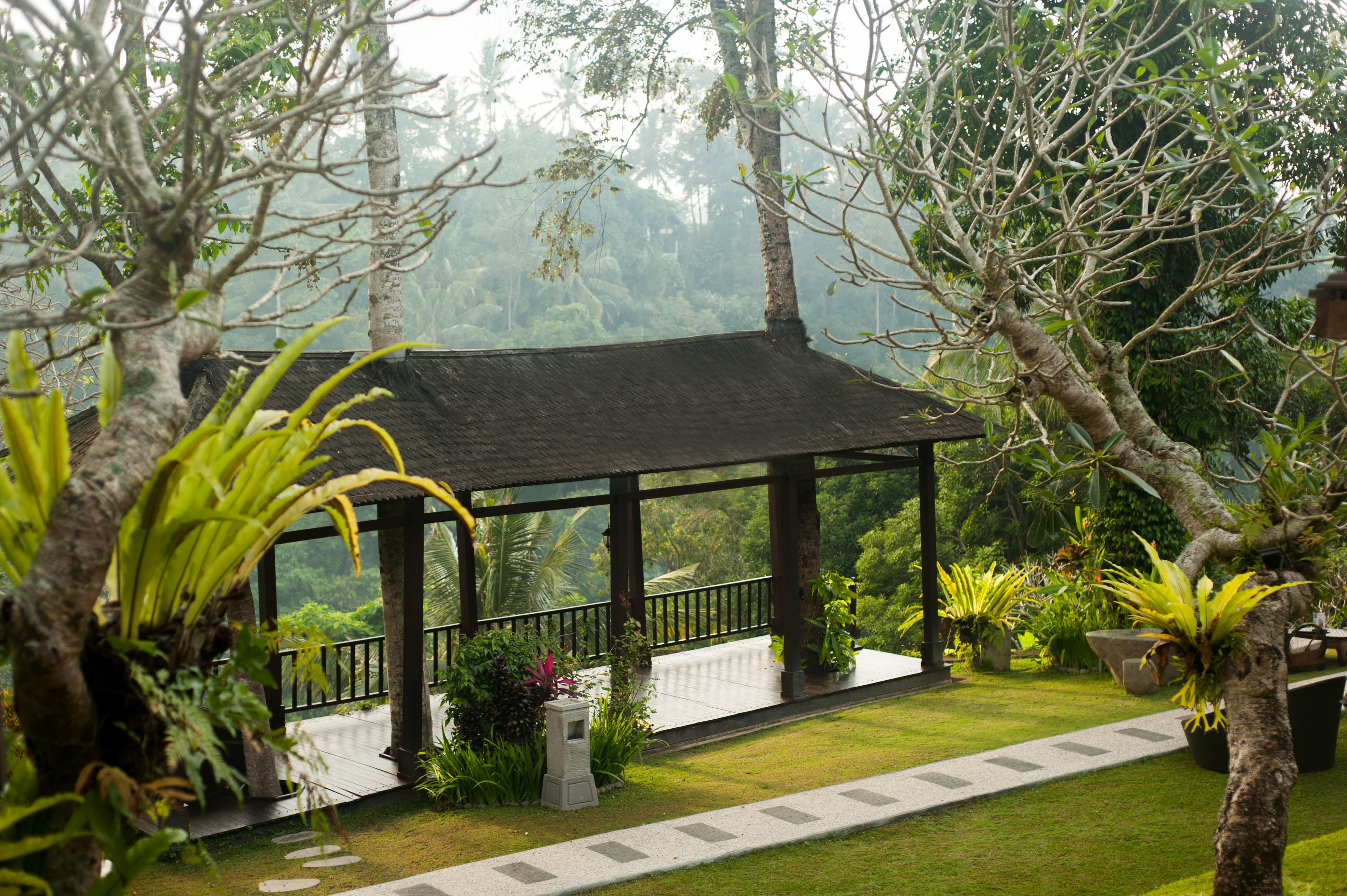 Photo - Beji Ubud Resort