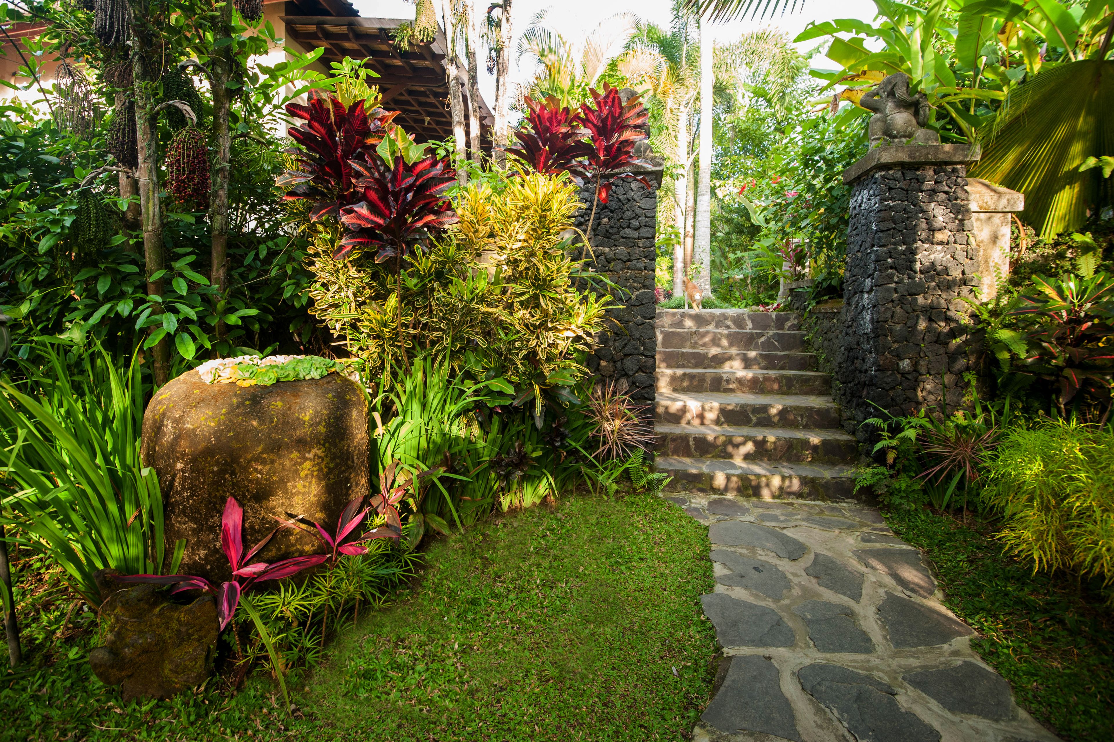 deluxe room, garden view | garden