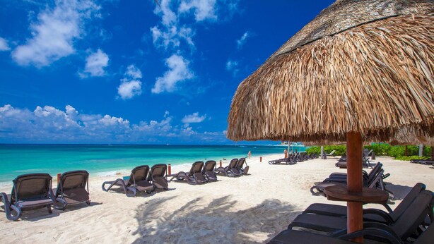 Une plage avec des chaises longues et un parasol en chaume.