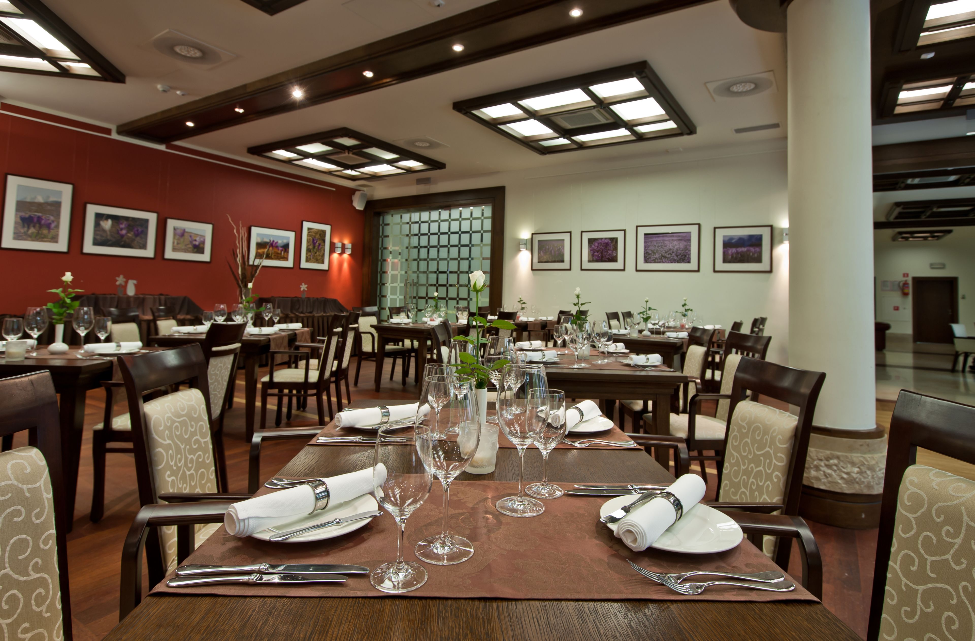 Foto - Hotel Crocus