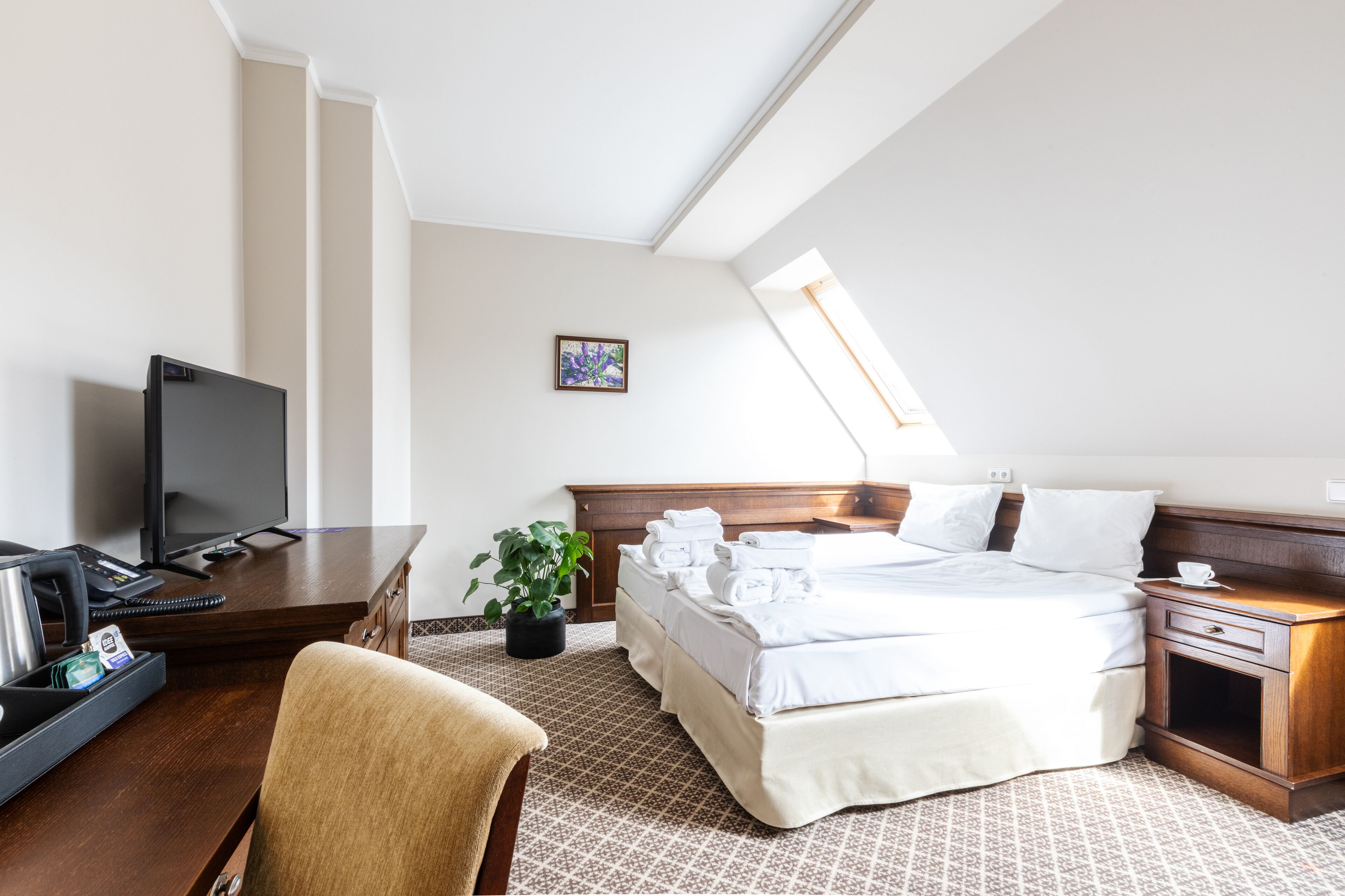A hotel room with a bed, a desk with a computer, a TV, and a small plant.