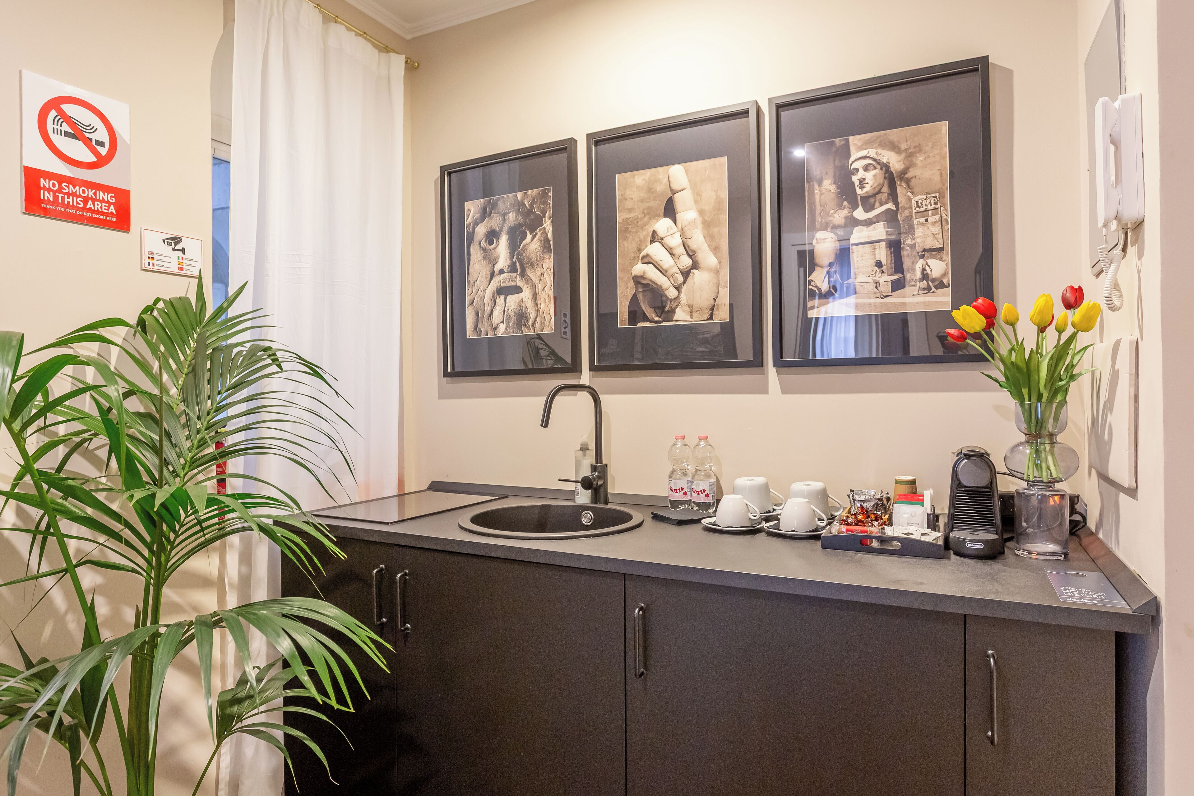 Une cuisine moderne avec un évier, un plan de travail et des placards. On peut voir des tableaux encadrés au mur, une plante et un vase rempli de tulipes.