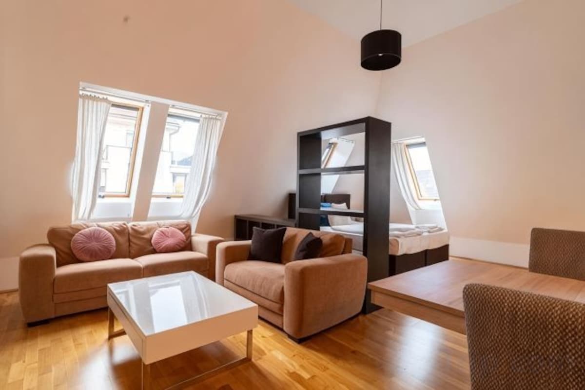 Deluxe One-Bedroom Apartment