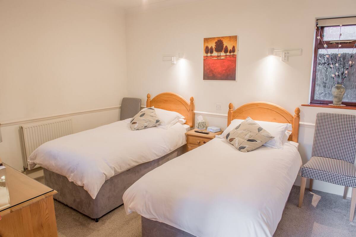 A twin room with two single beds, a bedside table with a lamp, a chair, and a window with a view.
