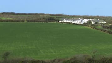 A large green field with a row of white buildings in the background.