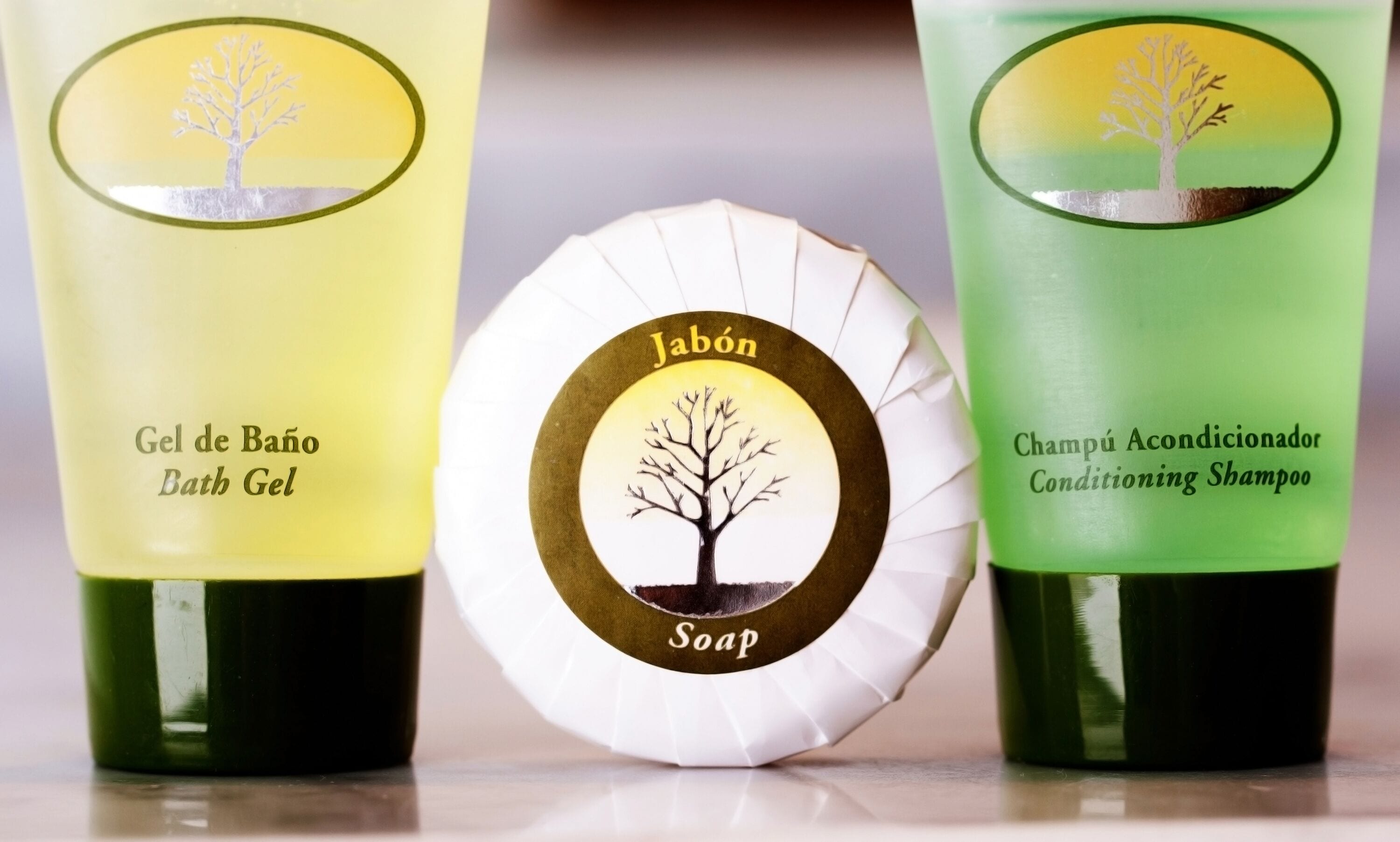 separate bathtub and shower, free toiletries, hair dryer, bidet