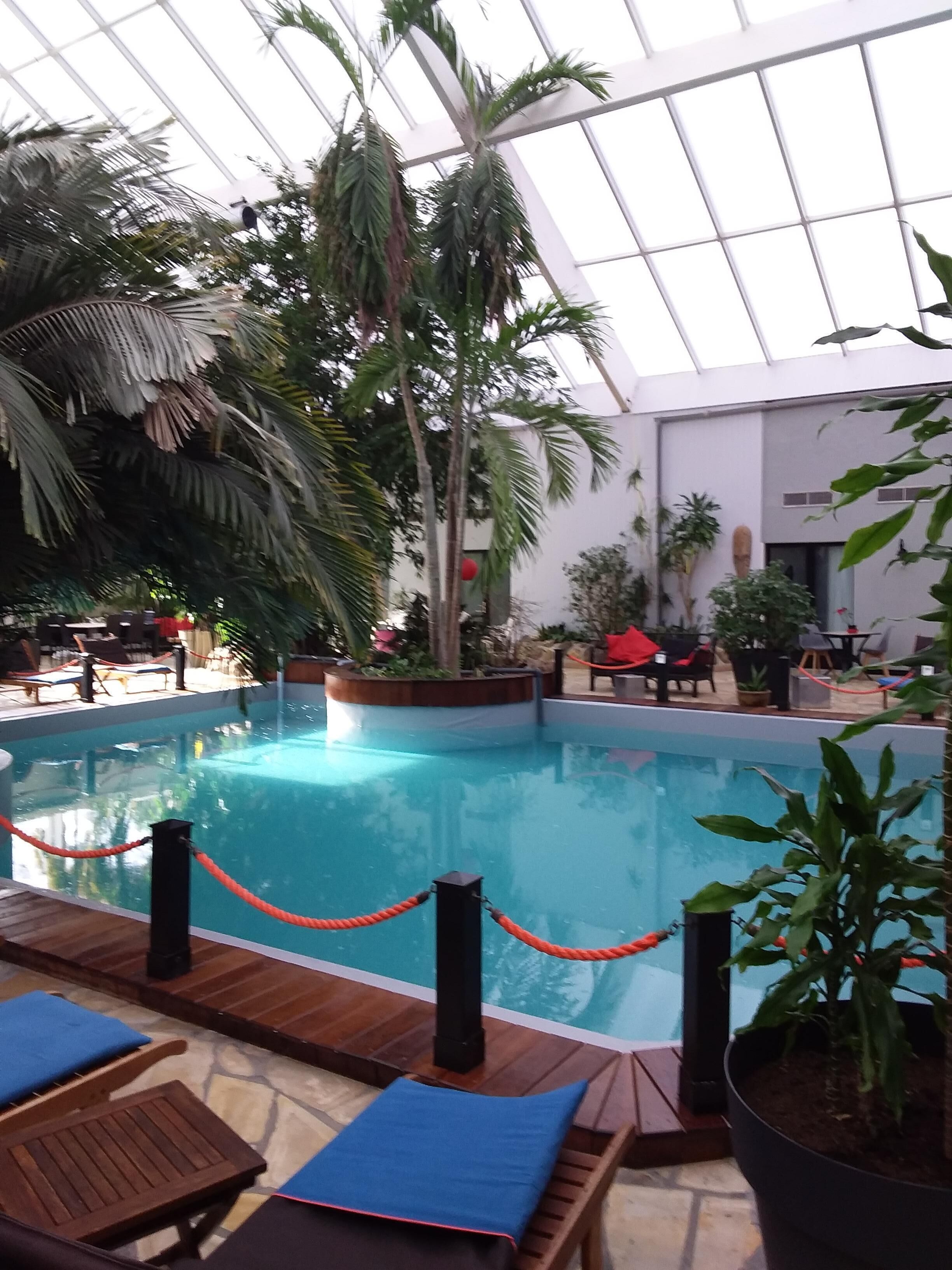 An indoor swimming pool with lounge chairs and potted plants.