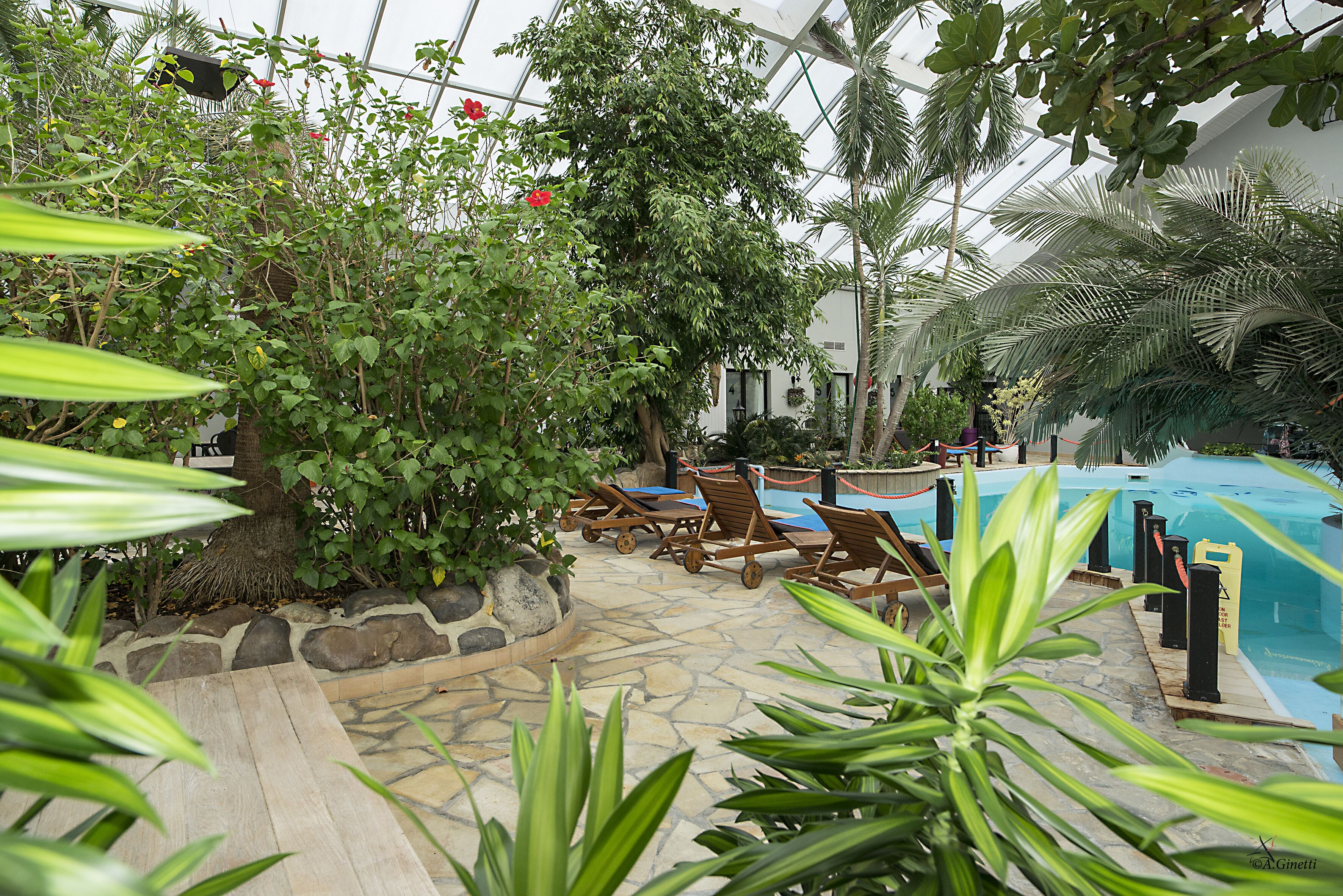 Un área de piscina interior con suelo de piedra, sillones de madera y abundante vegetación.