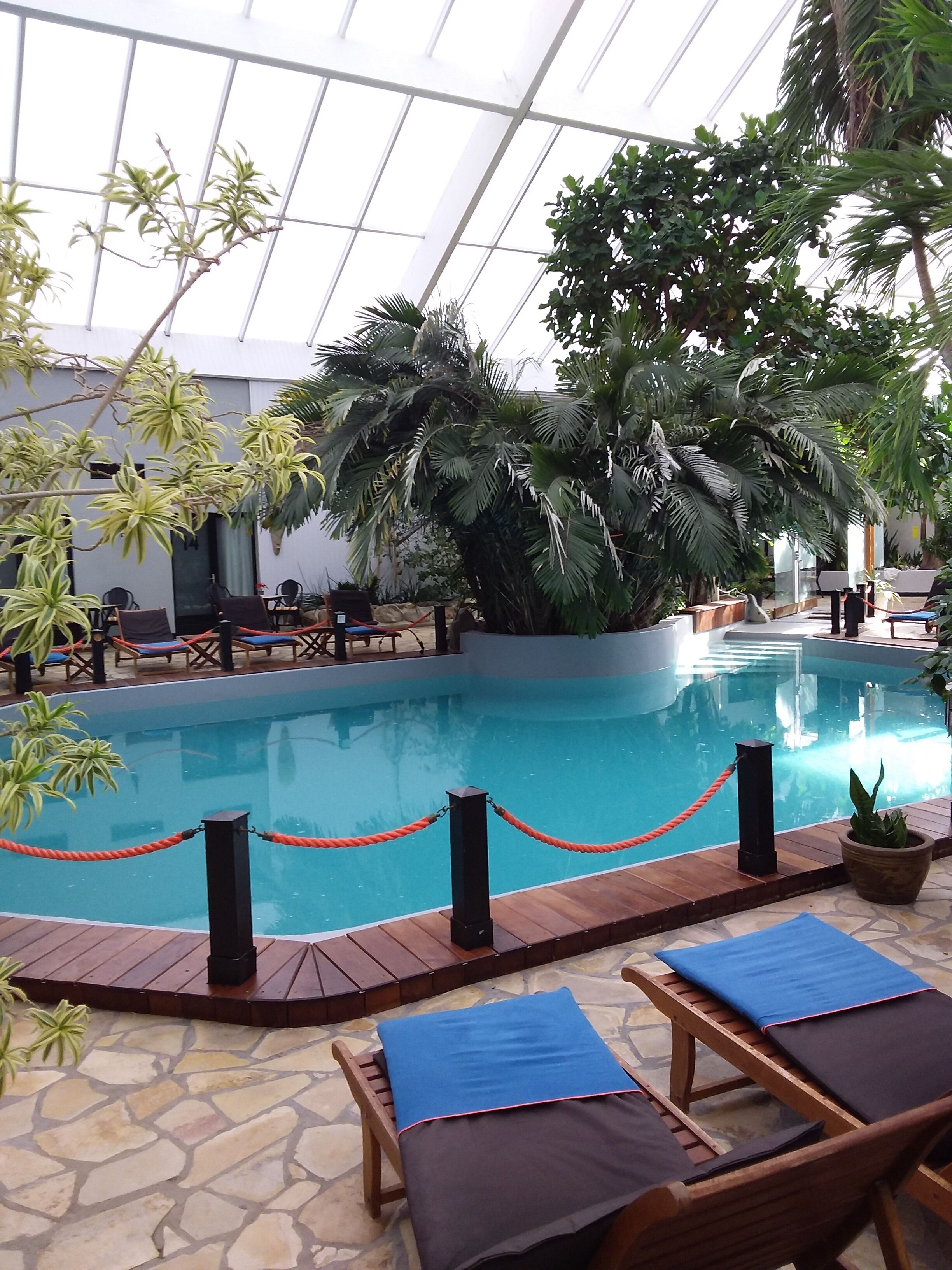 An indoor swimming pool with lounge chairs and potted plants.