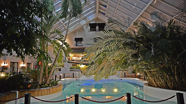 Una piscina interior con terraza de madera, rodeada de palmeras y plantas en macetas.