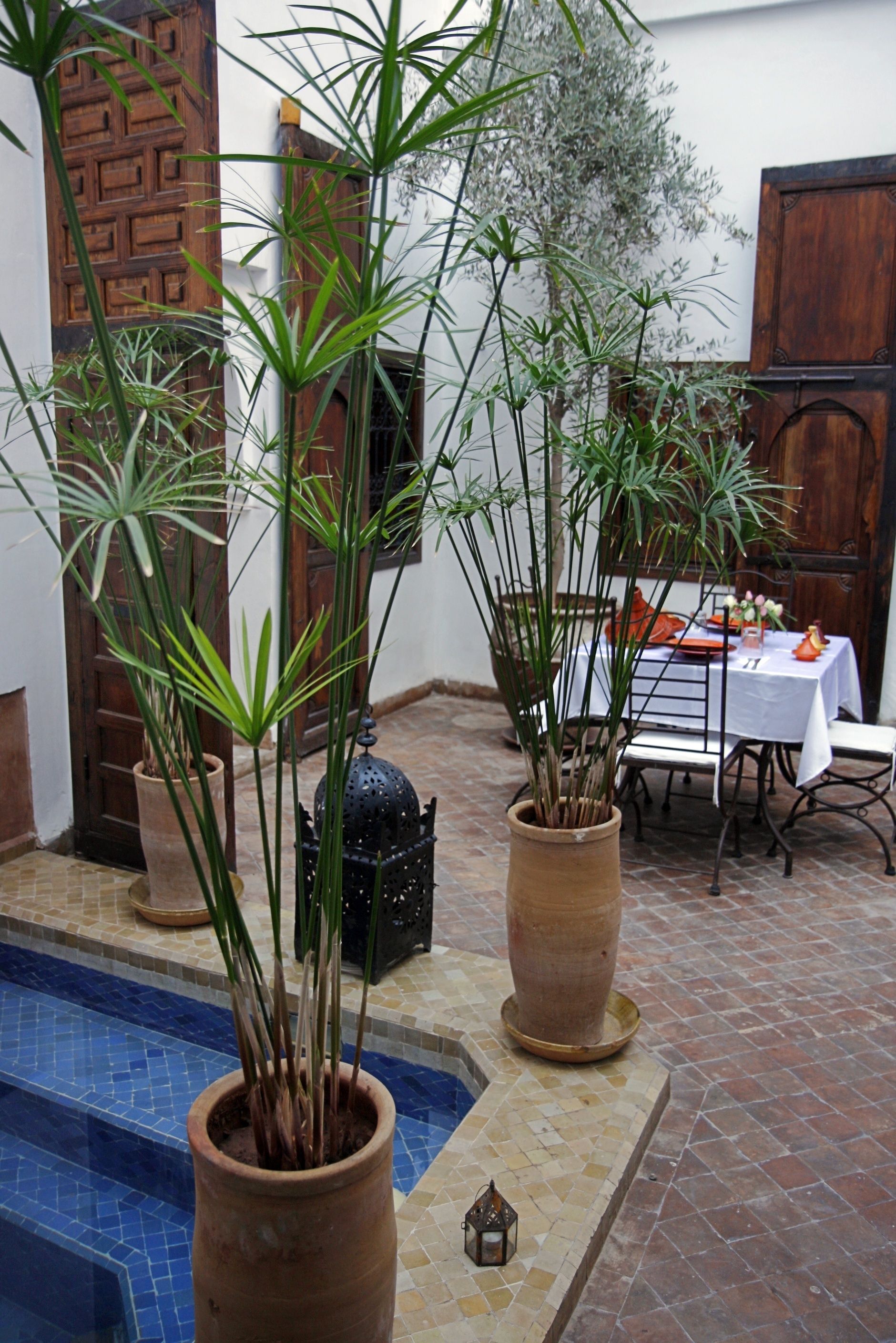 Un pati amb piscina, plantes en testos, una taula de dinar amb cadires i una porta tradicional.