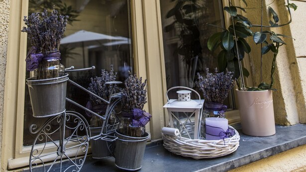 Ett fönster med en blomlåda i form av en cykel i metall och krukväxter.