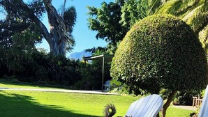 A garden with a large tree, a well-maintained lawn, and a white chair. - KaapsePracht (Cape Town)