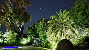 A nighttime view of a landscaped garden with trees and a pool. - KaapsePracht (Cape Town)