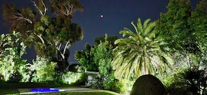 A nighttime view of a landscaped garden with trees and a pool. - KaapsePracht (Cape Town)