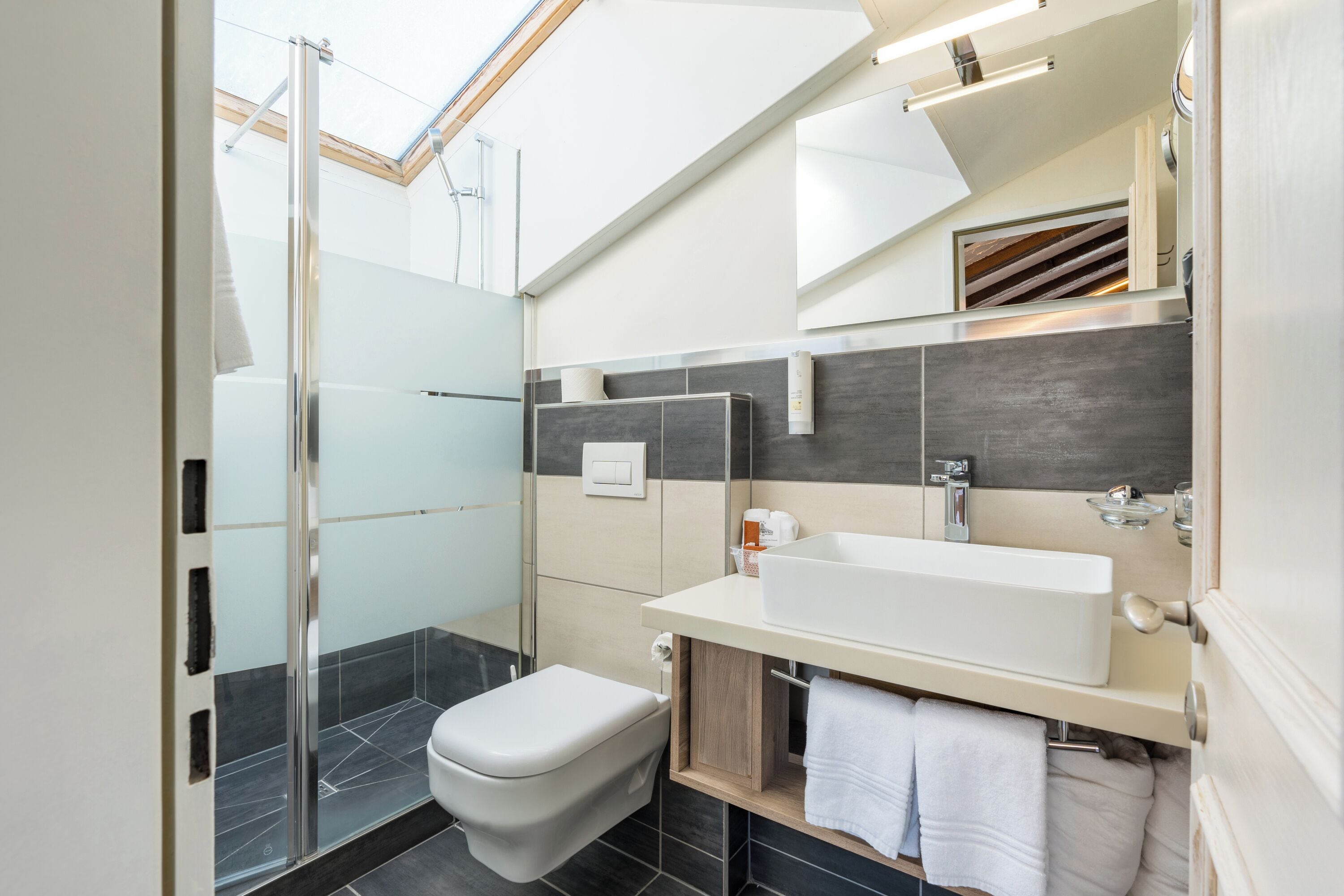A modern bathroom with a glass shower enclosure, a white toilet, a large sink, and a mirror.