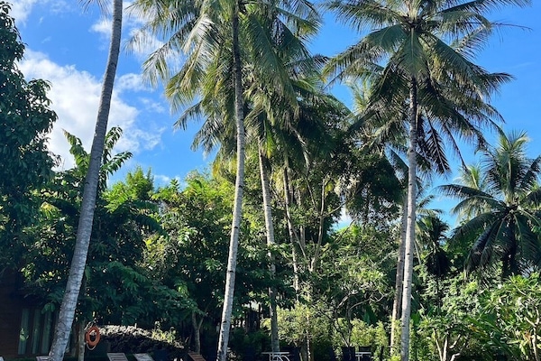 Piscina externa, espreguiçadeiras