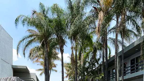 Outdoor pool - Hotel Suites Del Real (Zapopan)