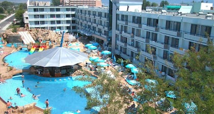 Kotva