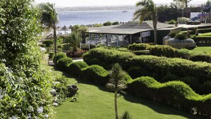 A well-maintained garden with manicured hedges and a palm tree, overlooking a body of water with a distant view of a coastal area. - Prima Life Makadi Hotel - All inclusive (Makadi Bay)