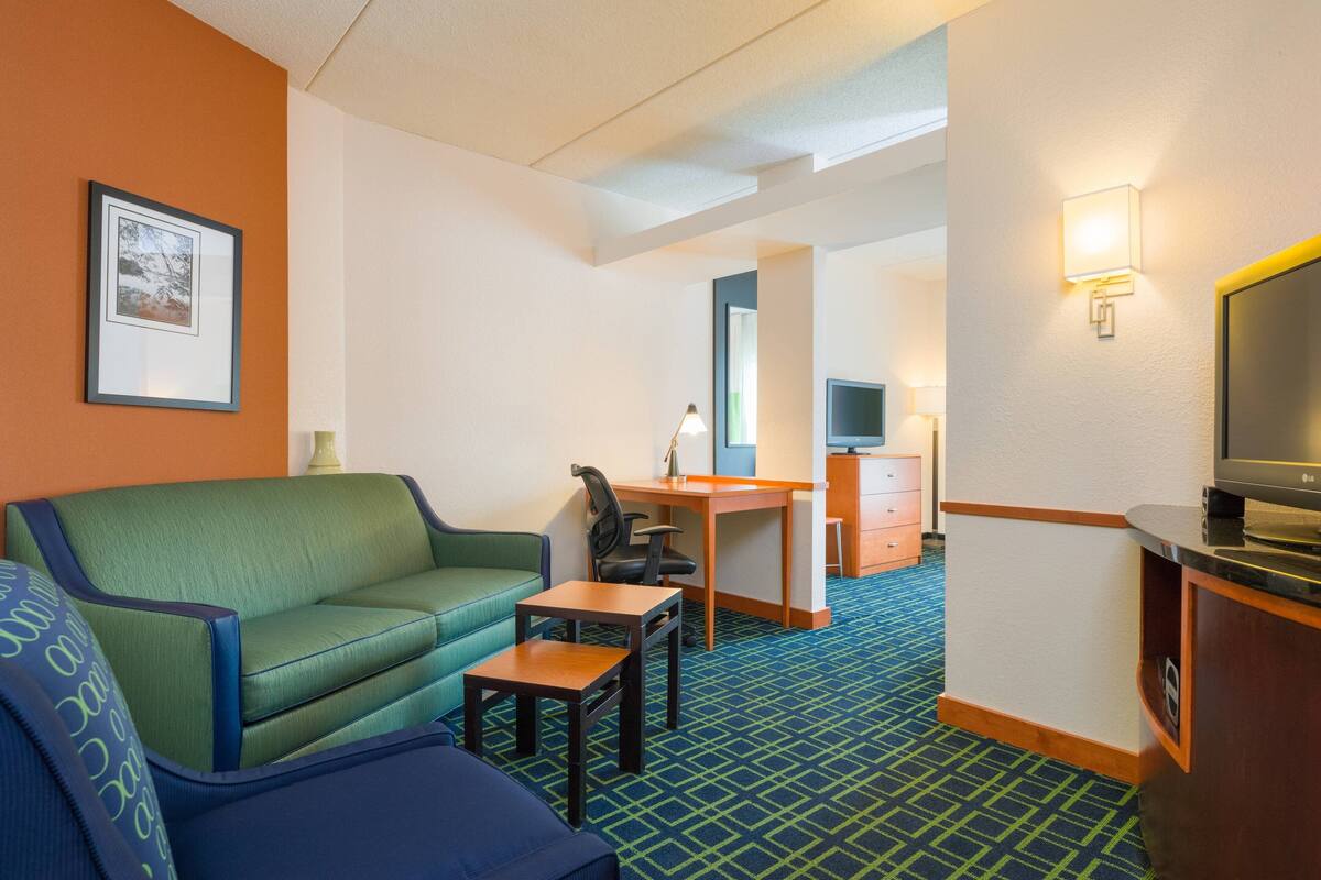 Una habitación de hotel con un sofá verde, un escritorio pequeño, una televisión y una cama.