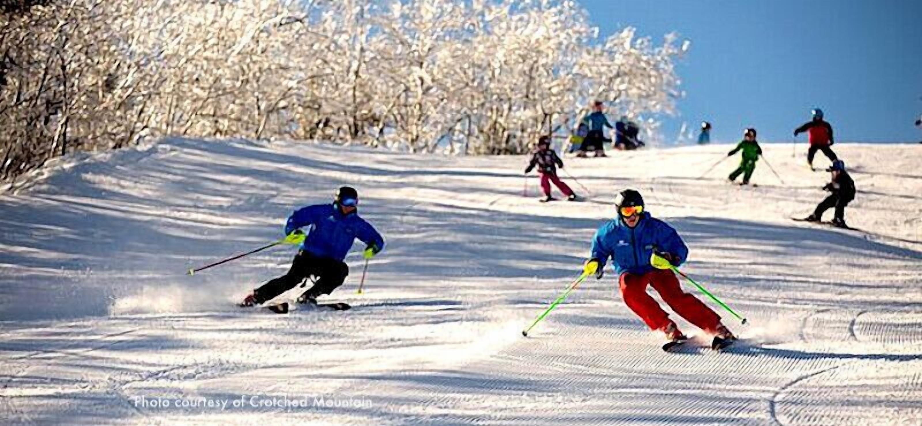 A ski slope with skiers.