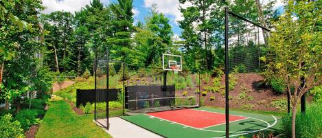 Ein Basketballplatz mit Netz, umgeben von Bäumen und einem Zaun.
