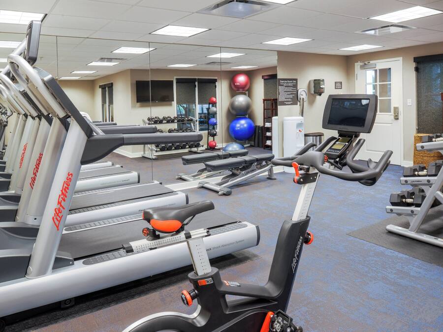 A gym with treadmills, elliptical machines, and free weights.