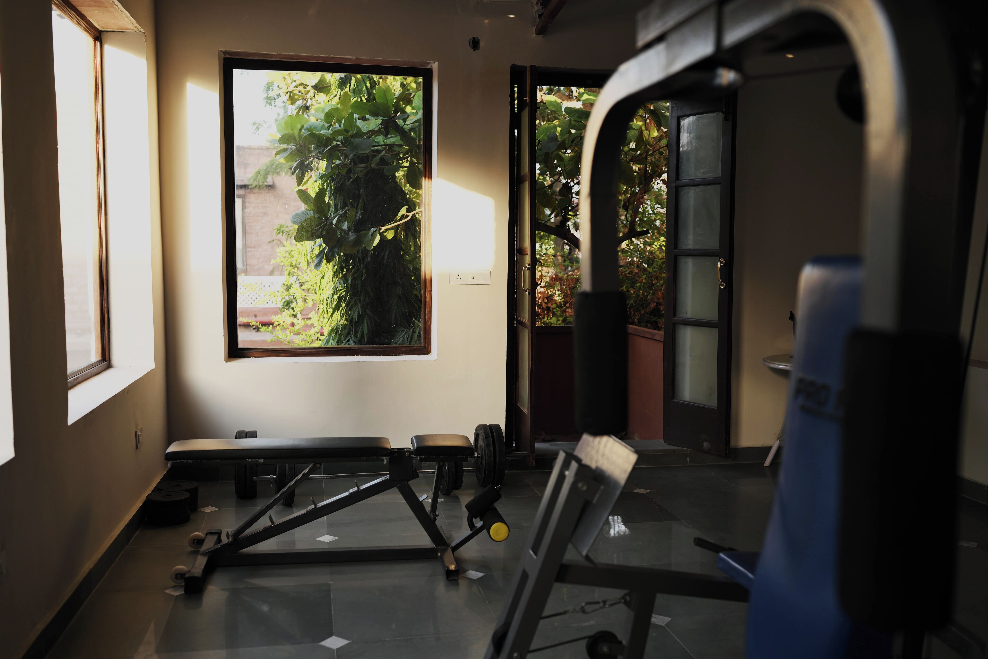Un gimnasio con equipo de ejercicio, una banca y un ventanal con vistas a la vegetación.