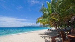 Una playa con muelle de madera, sillas, piscina y palmeras.