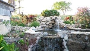Un jardín con cascada de piedra, abundante vegetación y diversas plantas florecientes.