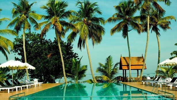 Una piscina con agua cristalina, rodeada de palmeras y sillas de descanso.