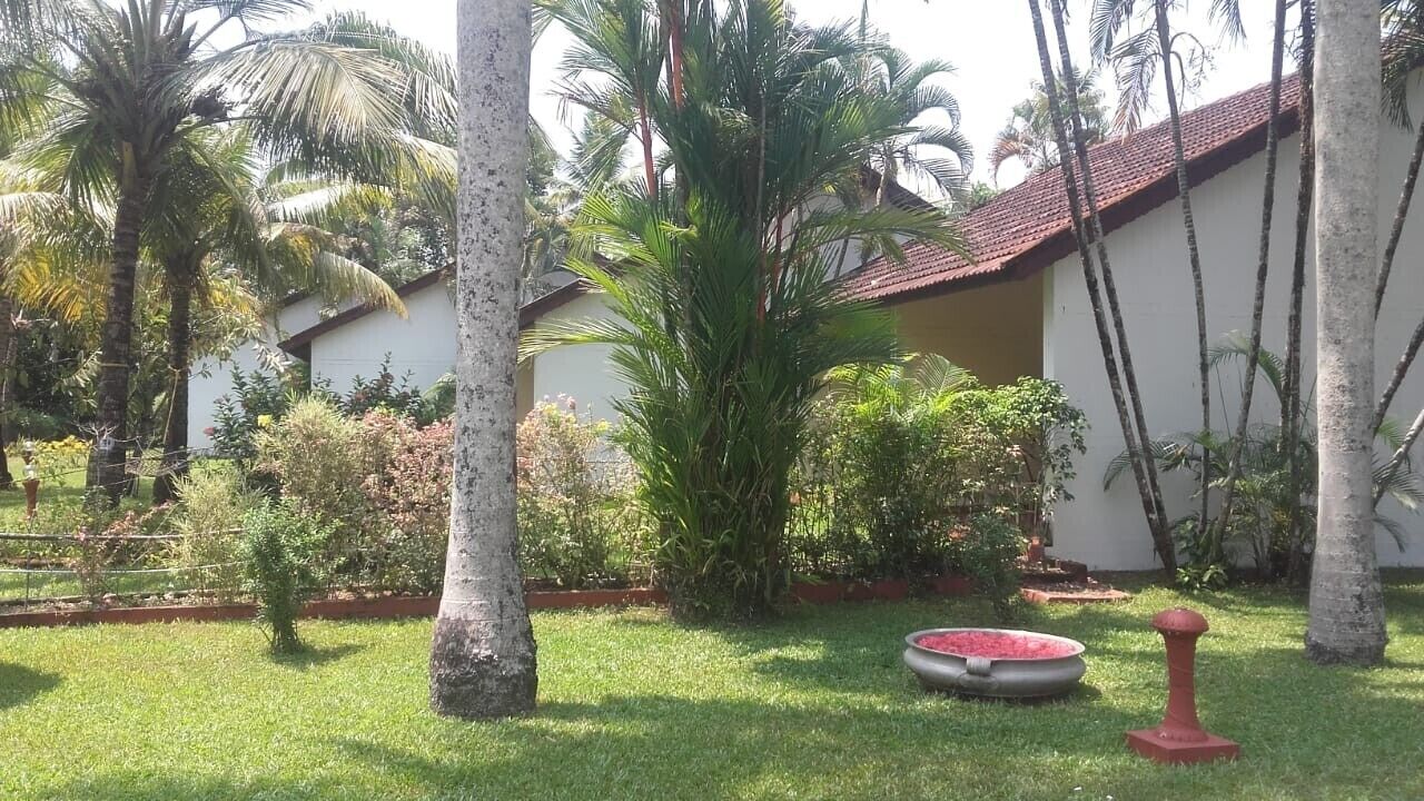 A well-maintained garden with palm trees, a red-tiled roof building, and a small fountain.
