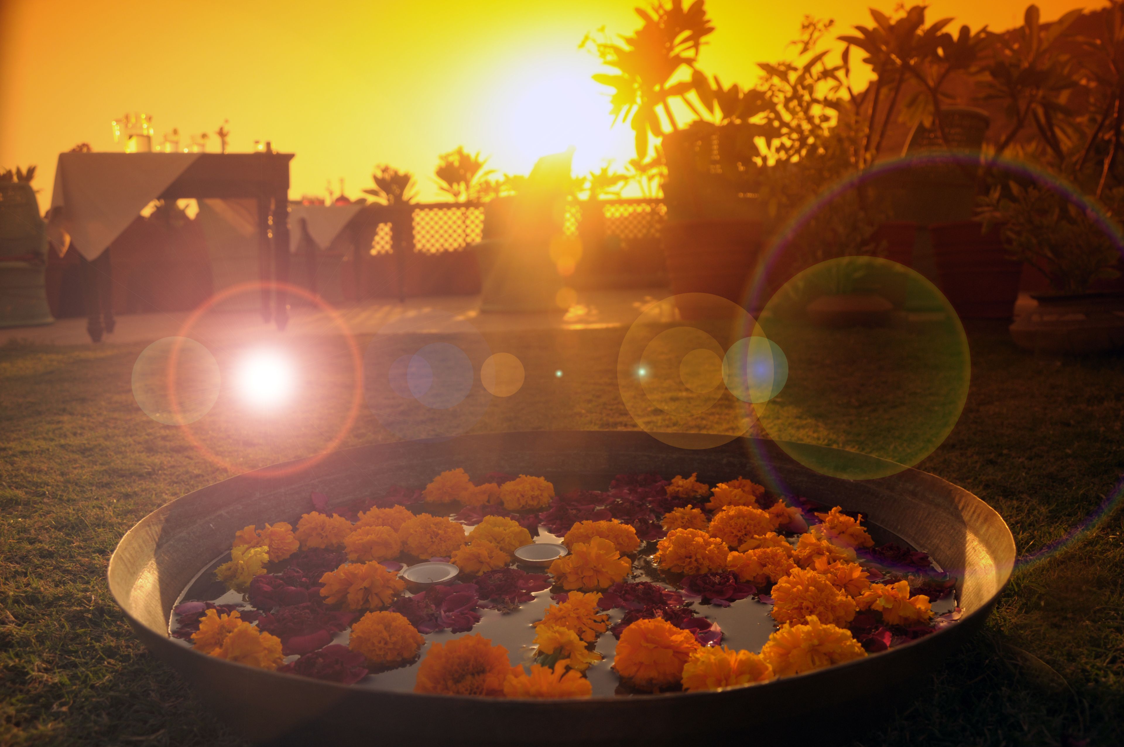 朝食、ランチ、ブランチに営業 (ベジタリアン料理)