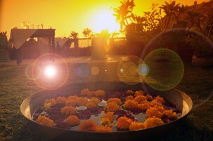 Spécialités Cuisine végétarienne