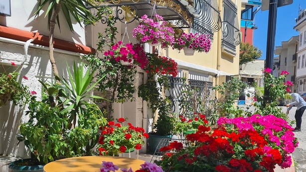 A street with a building labeled "Oceanis Hotel," featuring balconies with hanging flower baskets and potted plants. - Oceans 7 Hotel  (Istanbul)