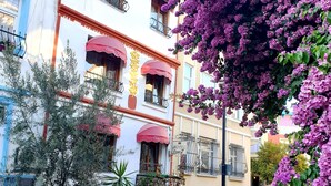 A hotel with balconies, potted plants, and a cobblestone street. - Oceans 7 Hotel  (Istanbul)
