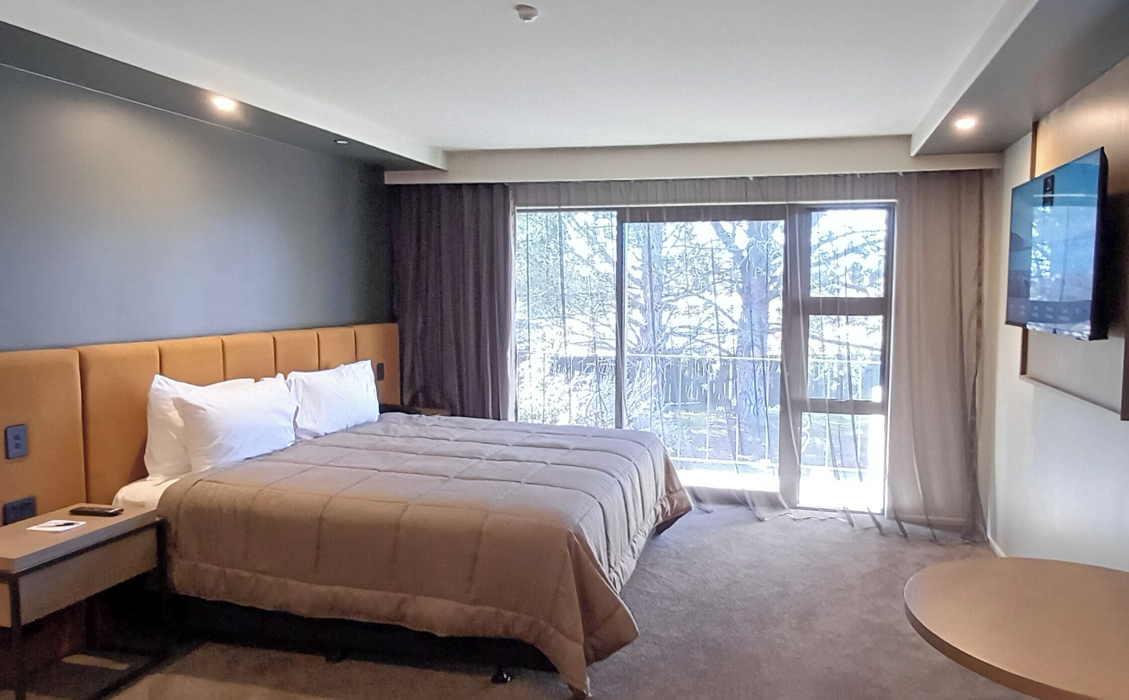 Une chambre d’hôtel avec un grand lit, une table de chevet, un téléviseur fixé au mur et une vue sur les arbres par la fenêtre.